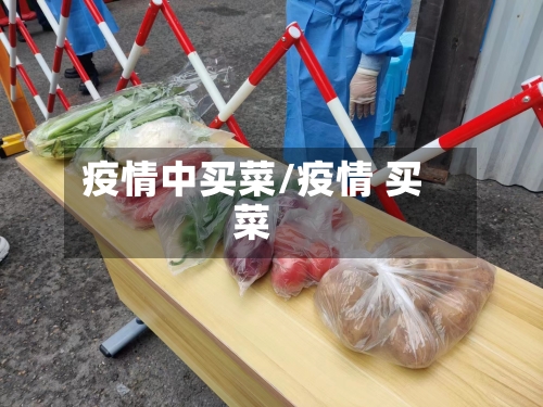 疫情中买菜/疫情 买菜