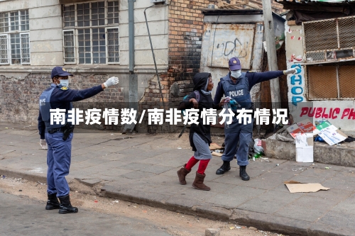 南非疫情数/南非疫情分布情况