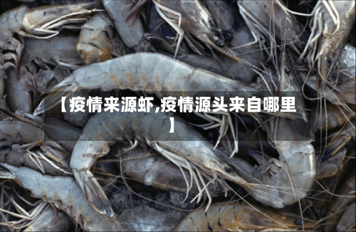 【疫情来源虾,疫情源头来自哪里】