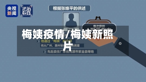 梅姨疫情/梅姨新照片-第1张图片