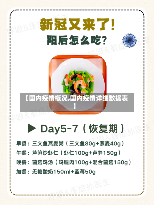 【国内疫情概况,国内疫情详细数据表】