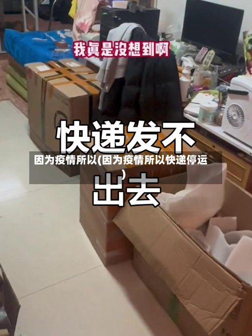因为疫情所以(因为疫情所以快递停运)-第2张图片