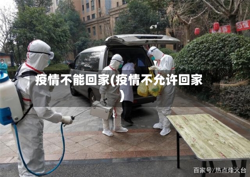 疫情不能回家(疫情不允许回家)-第3张图片