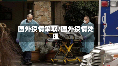 国外疫情采取/国外疫情处理