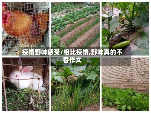疫情野味感受/相比疫情,野味真的不香作文-第2张图片