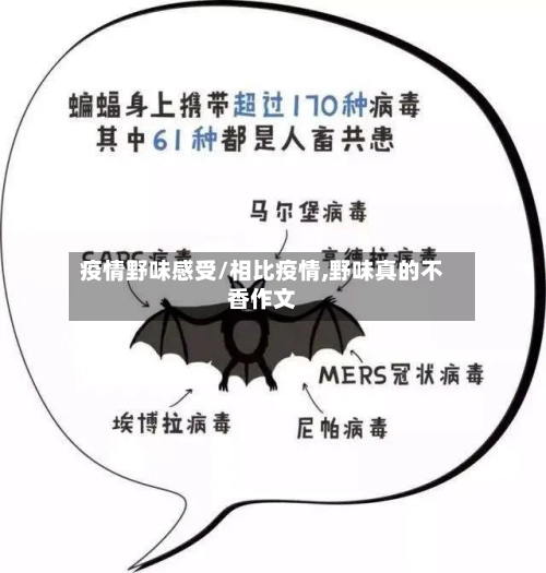 疫情野味感受/相比疫情,野味真的不香作文