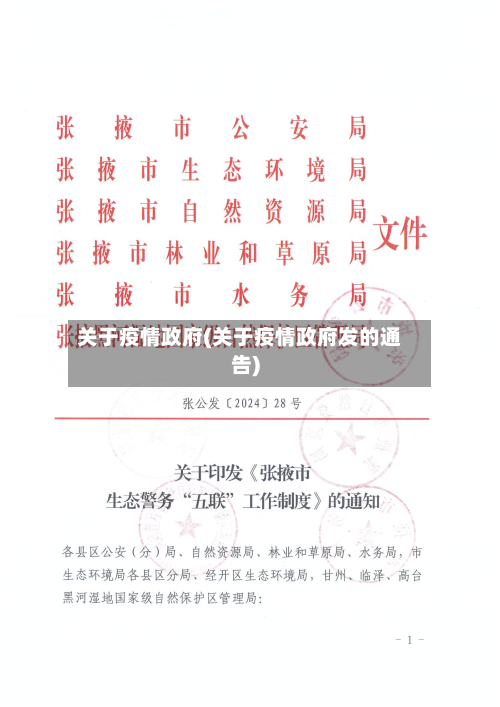 关于疫情政府(关于疫情政府发的通告)-第1张图片