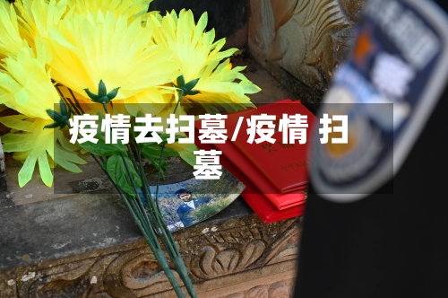 疫情去扫墓/疫情 扫墓