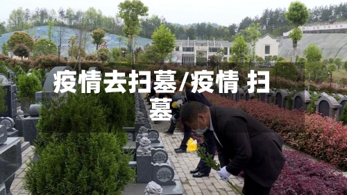 疫情去扫墓/疫情 扫墓-第2张图片
