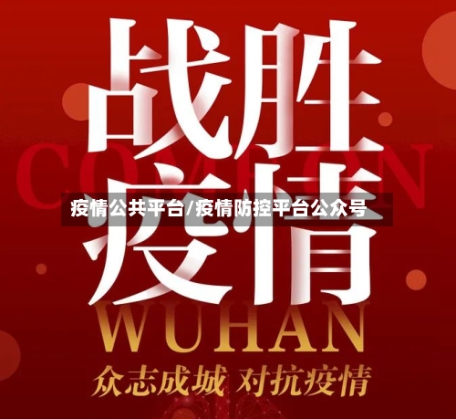疫情公共平台/疫情防控平台公众号-第3张图片