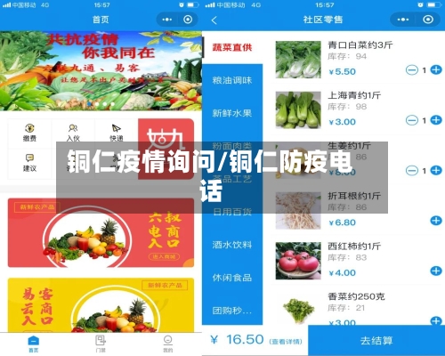 铜仁疫情询问/铜仁防疫电话-第1张图片