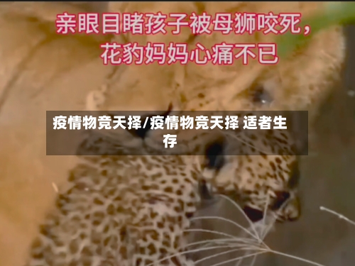 疫情物竞天择/疫情物竞天择 适者生存-第2张图片