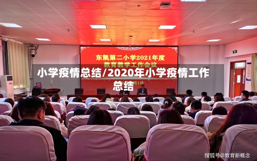 小学疫情总结/2020年小学疫情工作总结-第1张图片