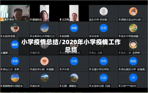 小学疫情总结/2020年小学疫情工作总结-第3张图片