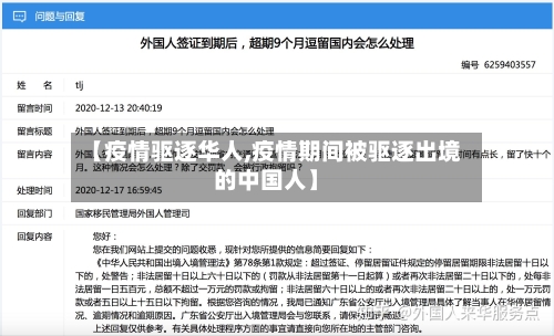 【疫情驱逐华人,疫情期间被驱逐出境的中国人】-第1张图片