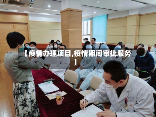 【疫情办理项目,疫情期间审批服务】-第3张图片