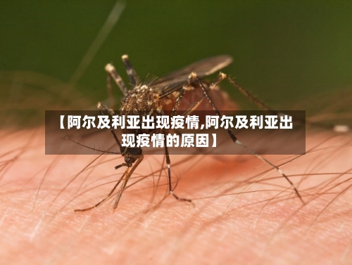【阿尔及利亚出现疫情,阿尔及利亚出现疫情的原因】