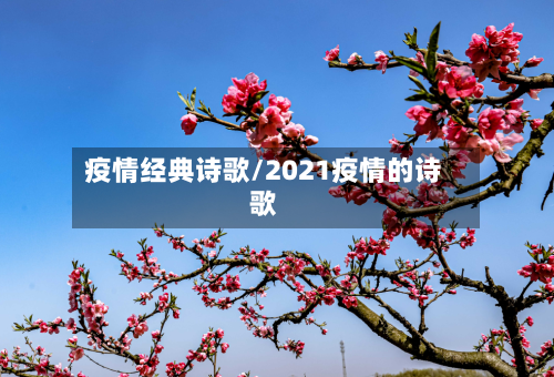疫情经典诗歌/2021疫情的诗歌-第2张图片