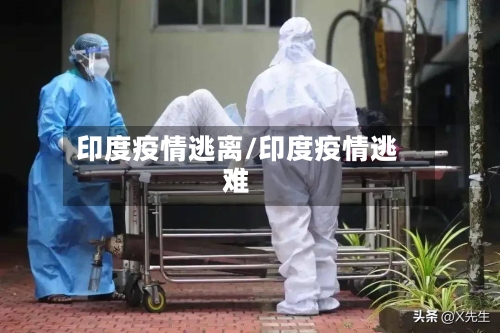 印度疫情逃离/印度疫情逃难