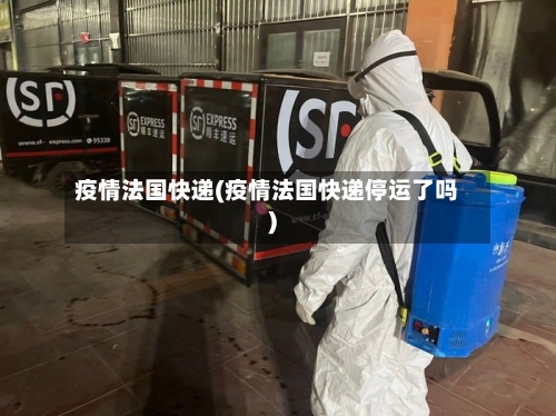 疫情法国快递(疫情法国快递停运了吗)-第1张图片