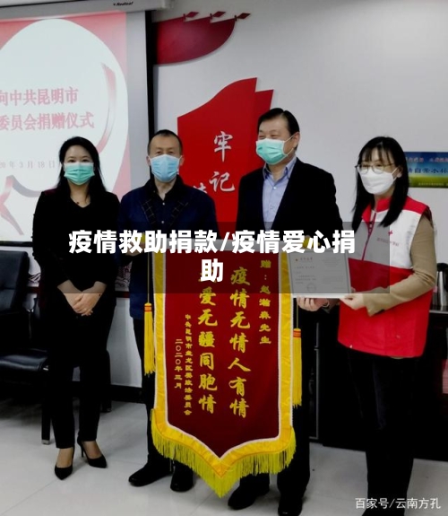 疫情救助捐款/疫情爱心捐助
