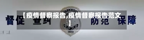 【疫情督察报告,疫情督察报告范文】