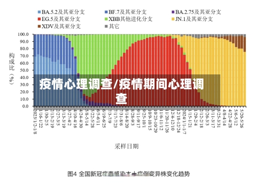 疫情心理调查/疫情期间心理调查-第3张图片