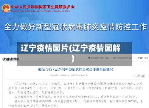辽宁疫情图片(辽宁疫情图解)-第2张图片