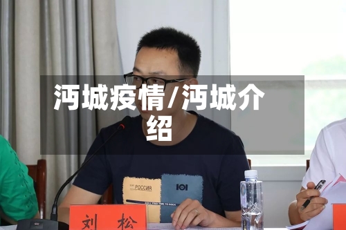 沔城疫情/沔城介绍