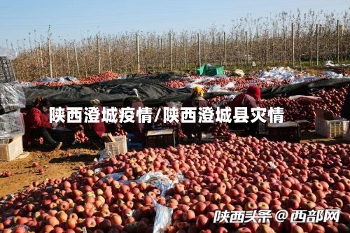 陕西澄城疫情/陕西澄城县灾情