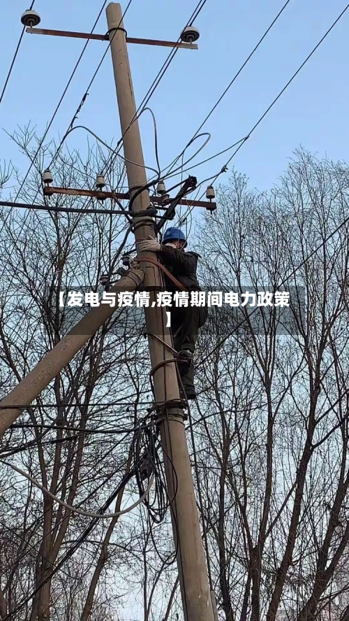 【发电与疫情,疫情期间电力政策】