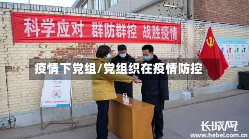 疫情下党组/党组织在疫情防控