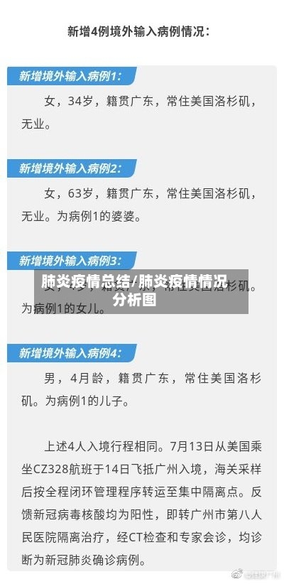 肺炎疫情总结/肺炎疫情情况分析图