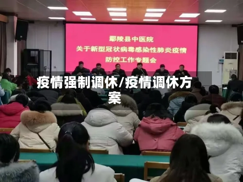 疫情强制调休/疫情调休方案