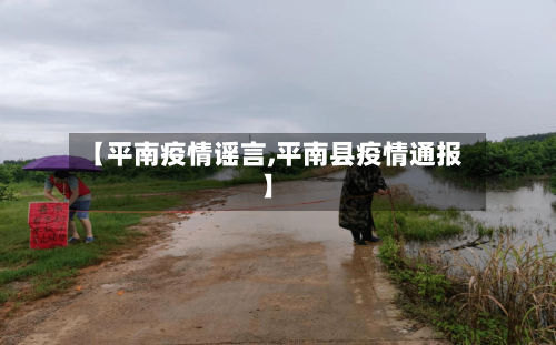 【平南疫情谣言,平南县疫情通报】