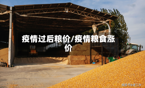 疫情过后粮价/疫情粮食涨价