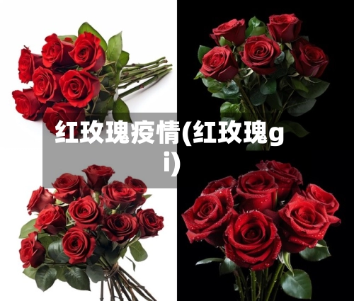 红玫瑰疫情(红玫瑰gi)
