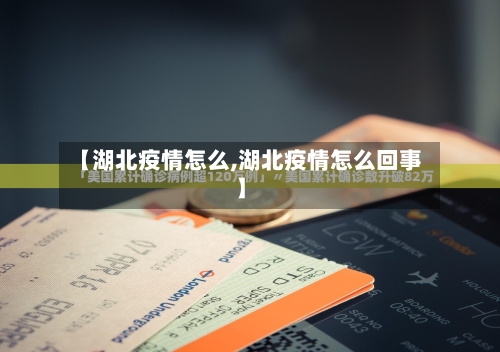 【湖北疫情怎么,湖北疫情怎么回事】