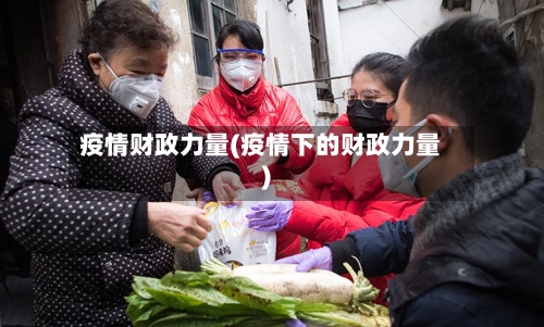 疫情财政力量(疫情下的财政力量)