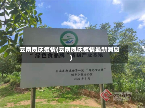 云南凤庆疫情(云南凤庆疫情最新消息)-第2张图片