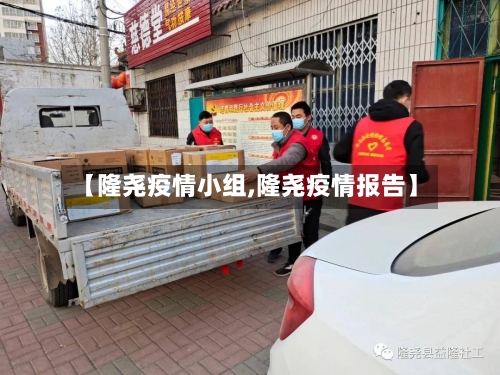 【隆尧疫情小组,隆尧疫情报告】