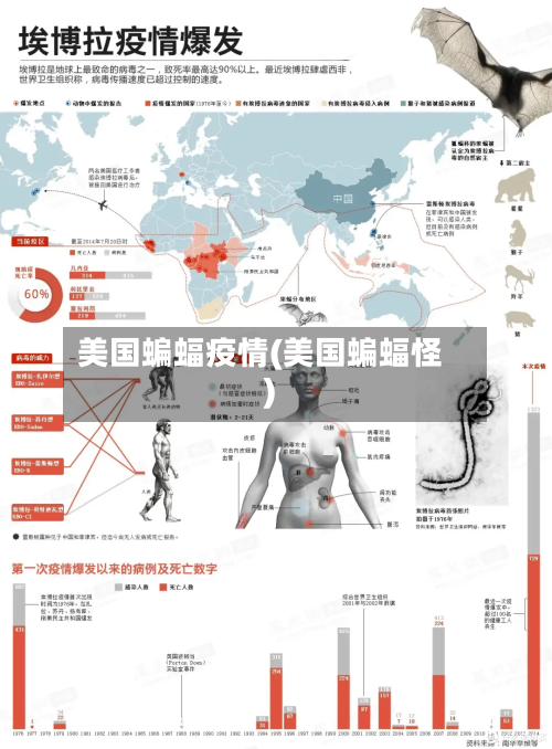美国蝙蝠疫情(美国蝙蝠怪)