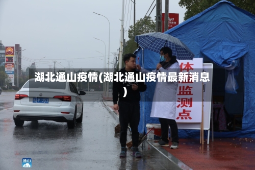 湖北通山疫情(湖北通山疫情最新消息)-第3张图片