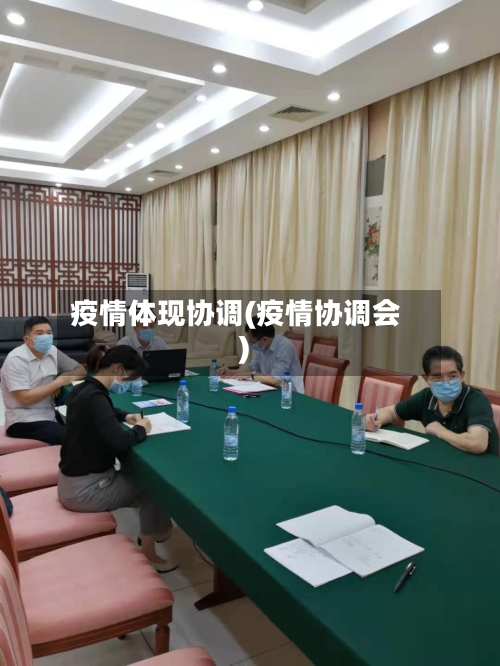 疫情体现协调(疫情协调会)-第3张图片