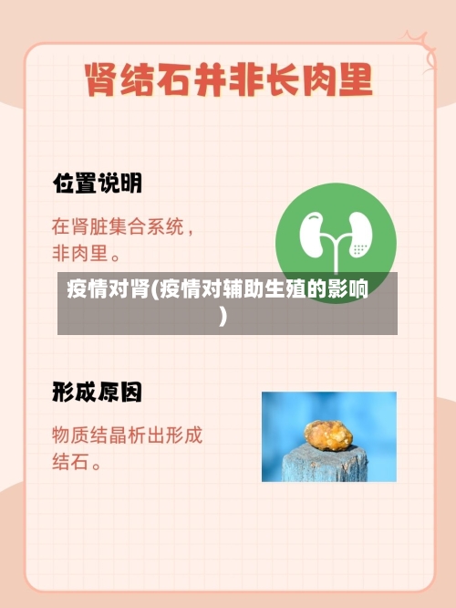 疫情对肾(疫情对辅助生殖的影响)-第2张图片