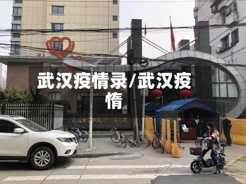 武汉疫情录/武汉疫惰-第1张图片