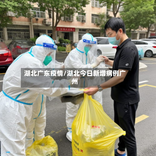 湖北广东疫情/湖北今日新增病例广州-第3张图片