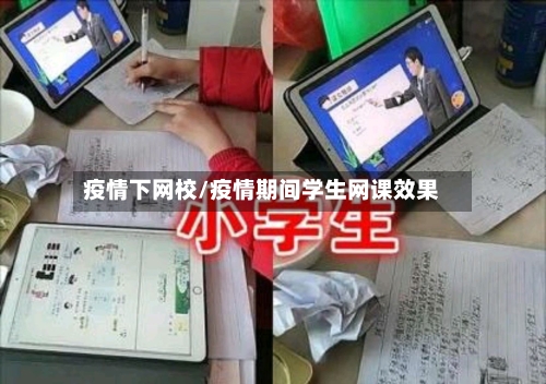 疫情下网校/疫情期间学生网课效果-第1张图片