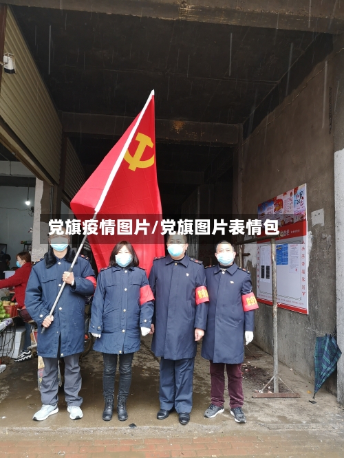 党旗疫情图片/党旗图片表情包-第2张图片
