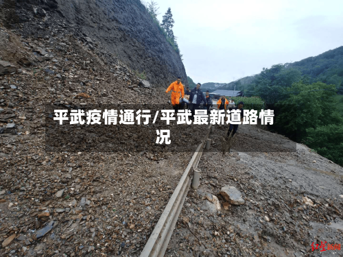 平武疫情通行/平武最新道路情况-第3张图片